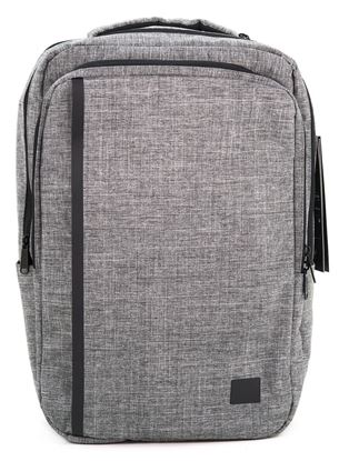 Picture of Gray travel backpack 