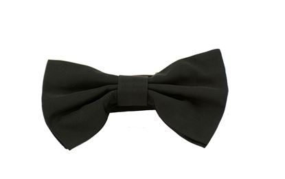 Picture of BOW-TIE