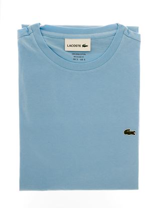 Immagine di Girocollo manica corta jersey cotone celeste