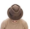 Picture of Brown felt hat