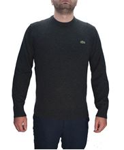 Picture of Grey wool crewneck sweater