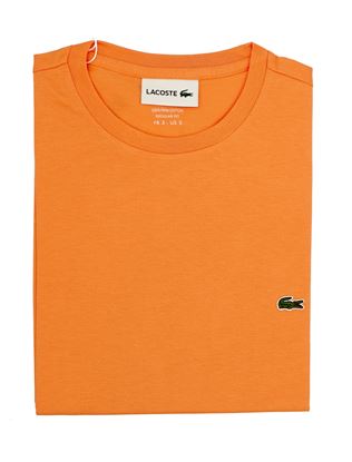 Picture of Orange cotton t-shirt TH 6709