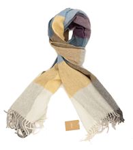 Picture of Beige and light blue checked scarf