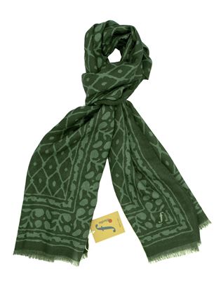 Picture of Roma scarf green background