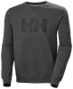 Picture of Melange gray sweatshirt