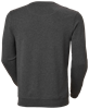 Picture of Melange gray sweatshirt