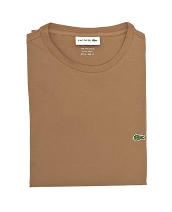 Picture of Brown cotton T-Shirt TH6709