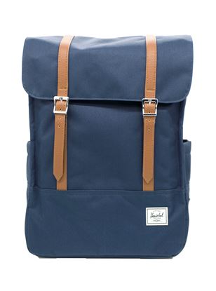 Picture of Navy Survey backpack
