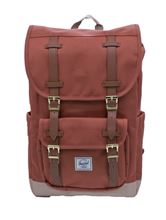 Picture of Chutney light taupe Little America Mid