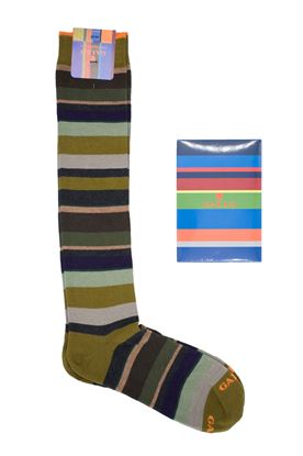 Picture of Striped sock with green background