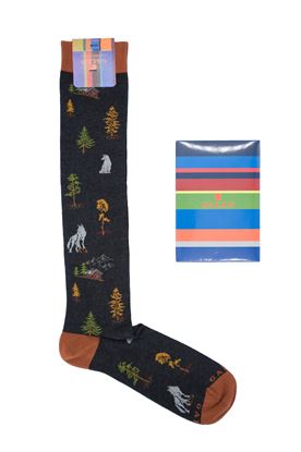 Picture of Patterned socks with wolves on a grey background