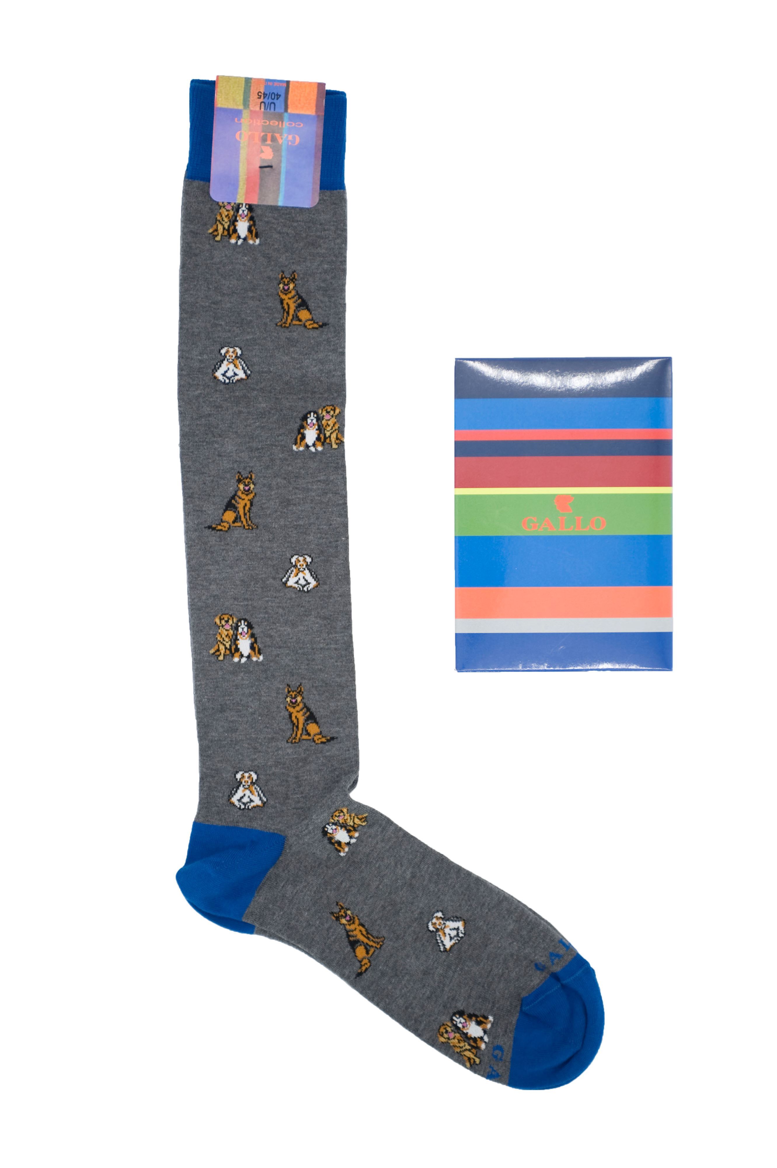 Picture of Patterned dog socks grey background