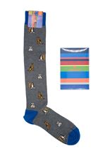 Picture of Patterned dog socks grey background