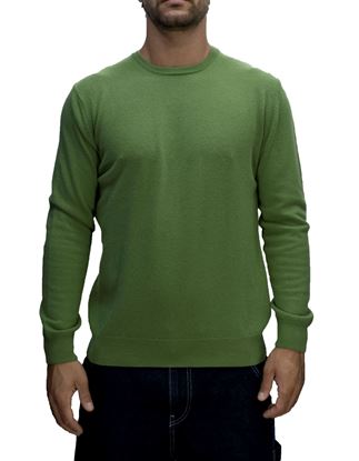 Picture of Green supergeelong wool crewneck