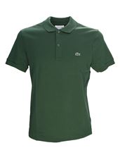 Immagine di Polo jersey verde