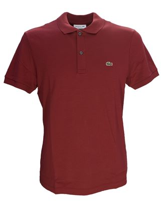 Picture of Burgundy jersey polo