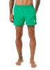 Picture of Green swim trunks