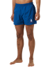 Picture of Blue swim trunks