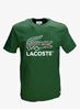 Picture of Green Logo T-Shirt