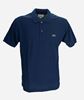 Picture of Blue Lacoste polo
