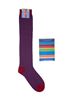 Picture of Warm cotton sock blue/red stripes