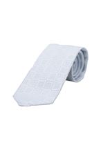Picture of Silk Tie light grey background