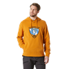 Picture of Yellow Hoodie