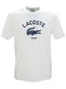 Picture of White Logo T-Shirt