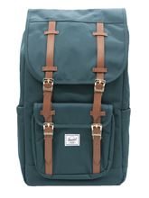 Picture of Little america green backpack