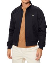 Picture of Blue Jacket